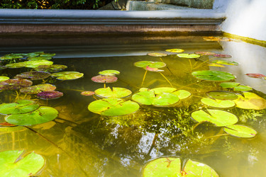 Similar image 22601869