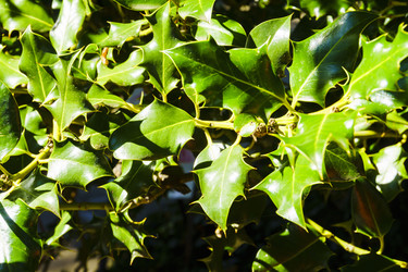 Similar image 22601870