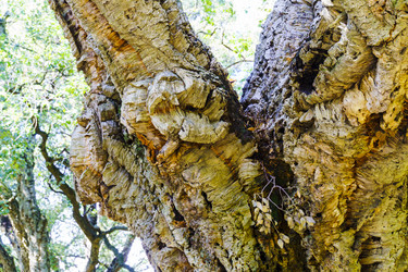 Similar image 22601871