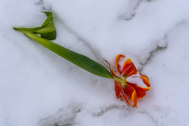 Similar image 22618312