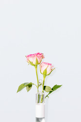 Similar image 22608729