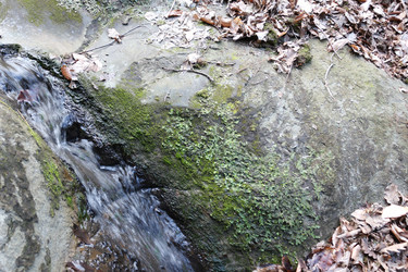 Similar image 22626829