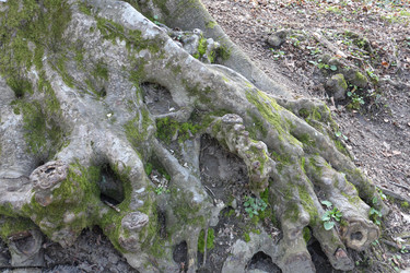 Similar image 22626830