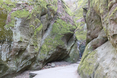 Similar image 22626831