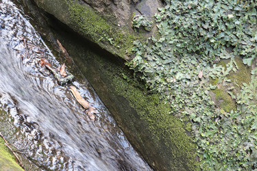 Similar image 22626832