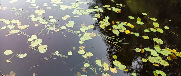 Similar image 22597000