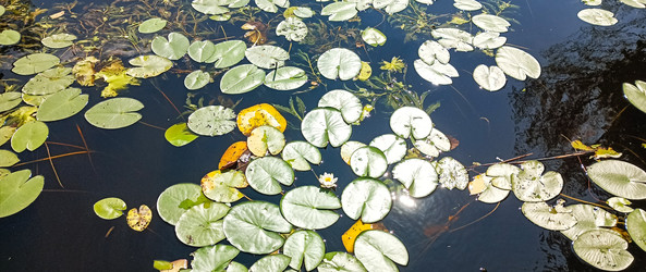 Similar image 22597001