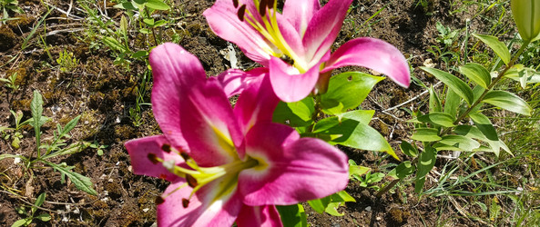 Similar image 22597002