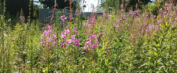 Similar image 22597003