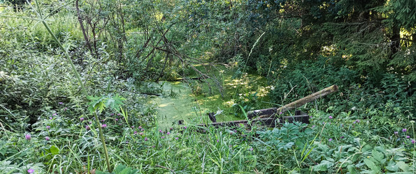 Similar image 22597004