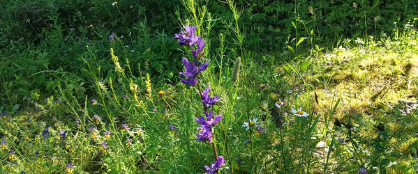 Similar image 22597006