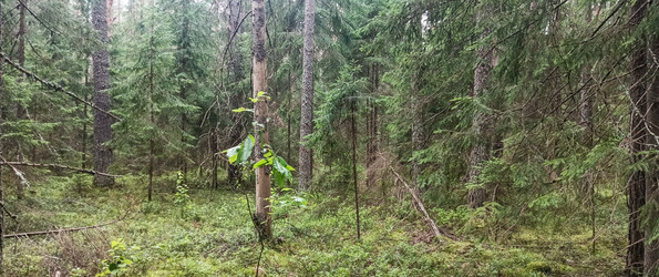 Similar image 22597010