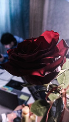 Similar image 22597014