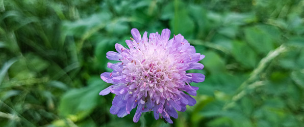 Similar image 22597016