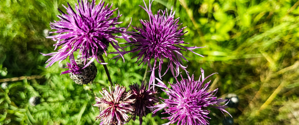 Similar image 22597017