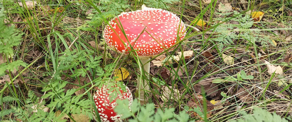 Similar image 22597019