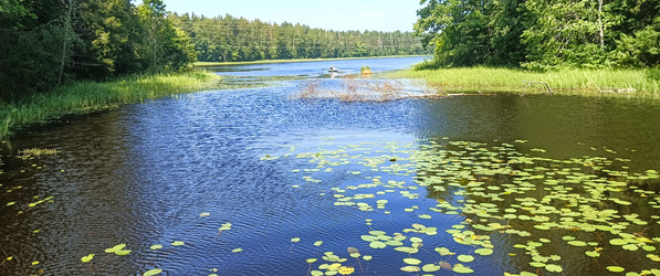 Similar image 22595283