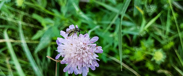 Similar image 22595286