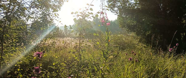 Similar image 22595291