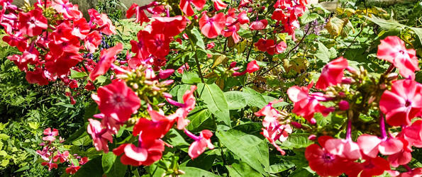 Similar image 22595298