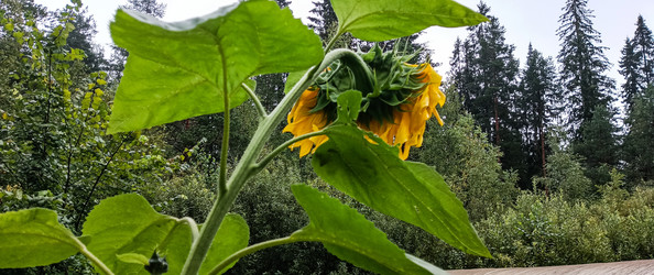 Similar image 22595301