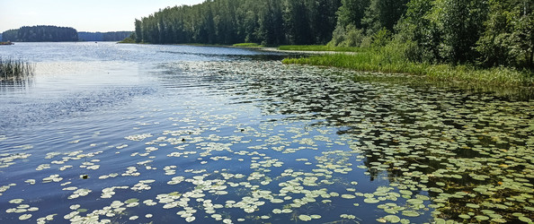 Similar image 22595303