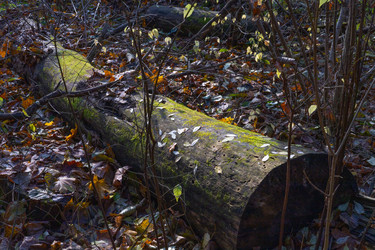 Similar image 22618355