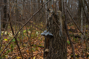 Similar image 22618357