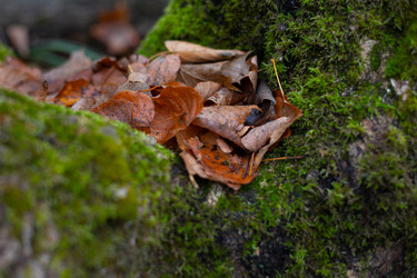 Similar image 22618358