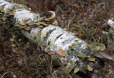 Similar image 22618359