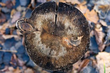 Similar image 22618360