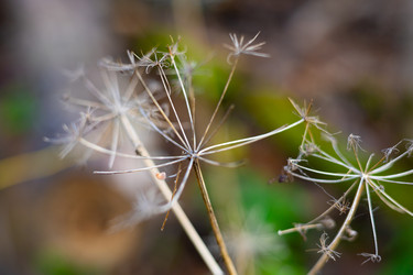 Similar image 22618361