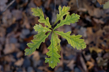 Similar image 22618362