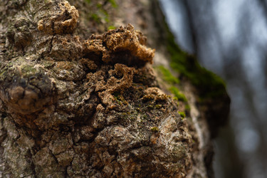 Similar image 22618363