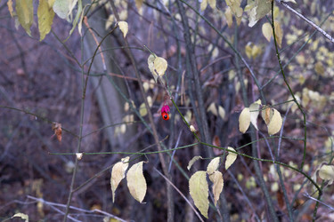 Similar image 22618364