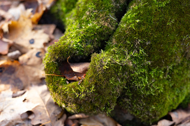 Similar image 22618365