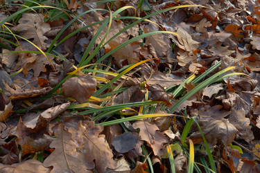 Similar image 22618370