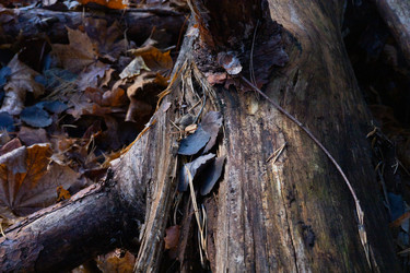 Similar image 22618371