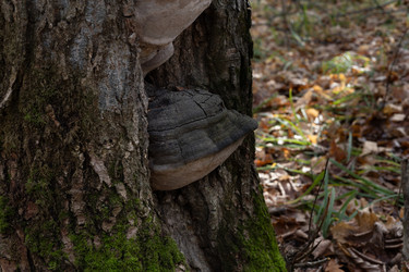 Similar image 22618372