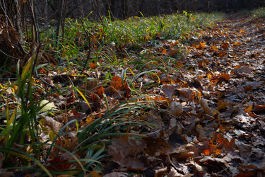 Similar image 22618374