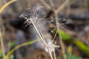 Similar image 22618375