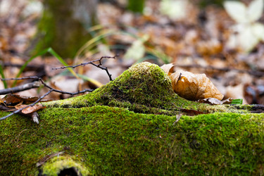 Similar image 22618366