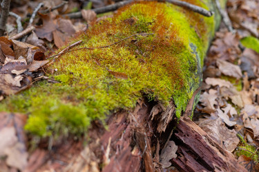 Similar image 22618367