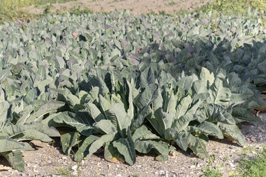 Similar image 22594919