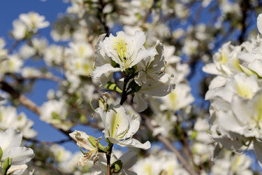 Similar image 22594934