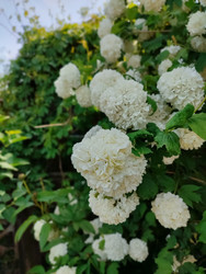 Similar image 22618415