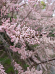 Similar image 22618416