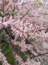 Similar image 22618401