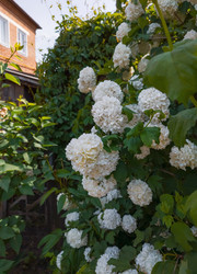 Similar image 22618403