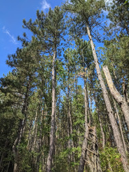 Similar image 22618405